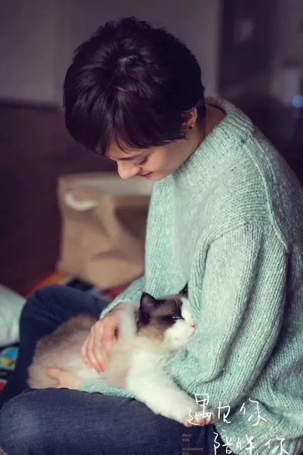 时尚圈10大女星短发Look，总有一款适合你！