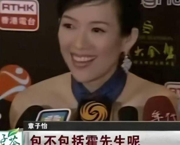 章子怡诈捐专题节目分析_章子怡淡出娱乐圈_章子怡诈捐事件央视报道
