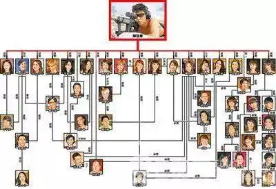 陈冠希艳照门事件详细过程_娱乐圈艳照门_艳照门事件对香港娱乐圈的影响