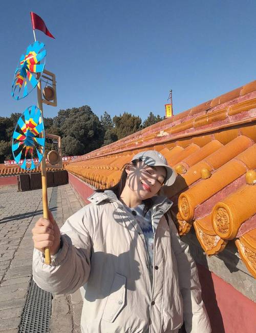 女主是袁姗姗的华娱小说_袁姗姗出圈_袁姗姗娱乐圈